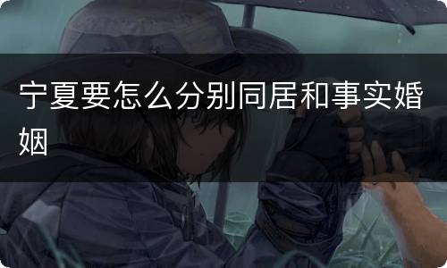 宁夏要怎么分别同居和事实婚姻