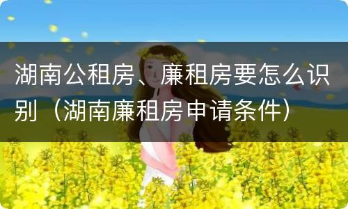 湖南公租房、廉租房要怎么识别（湖南廉租房申请条件）
