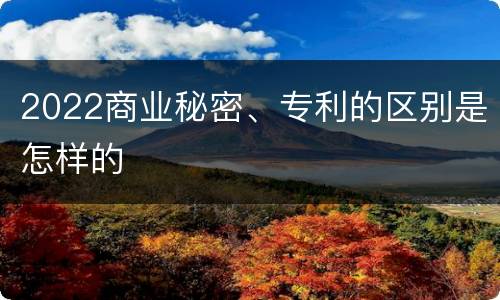 2022商业秘密、专利的区别是怎样的