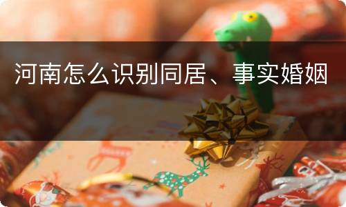 河南怎么识别同居、事实婚姻