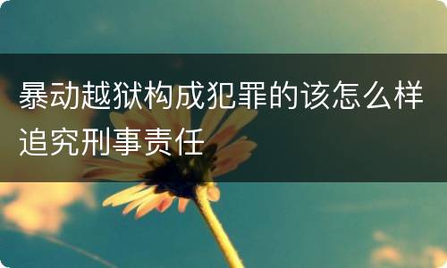 暴动越狱构成犯罪的该怎么样追究刑事责任
