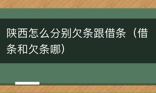 陕西怎么分别欠条跟借条（借条和欠条哪）