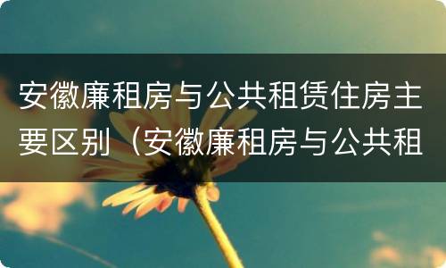 安徽廉租房与公共租赁住房主要区别（安徽廉租房与公共租赁住房主要区别在哪）
