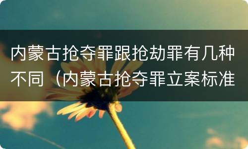 内蒙古抢夺罪跟抢劫罪有几种不同（内蒙古抢夺罪立案标准）