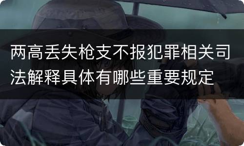 两高丢失枪支不报犯罪相关司法解释具体有哪些重要规定