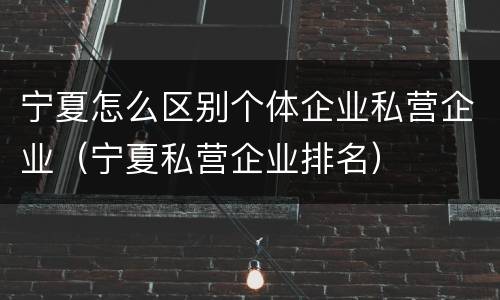 宁夏怎么区别个体企业私营企业（宁夏私营企业排名）
