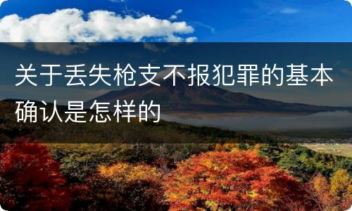 关于丢失枪支不报犯罪的基本确认是怎样的