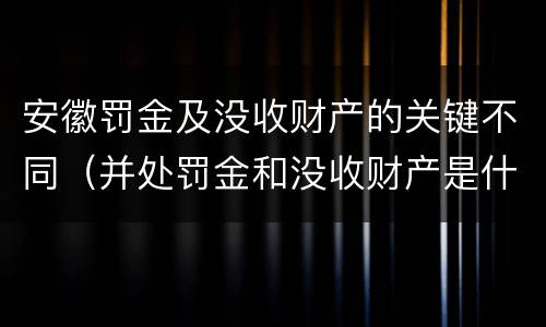 安徽罚金及没收财产的关键不同（并处罚金和没收财产是什么意思）