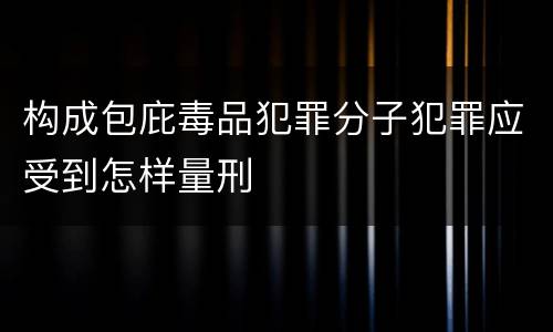 构成包庇毒品犯罪分子犯罪应受到怎样量刑