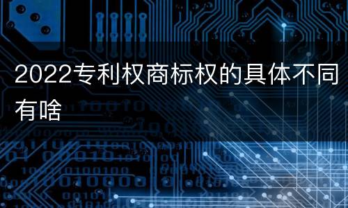 2022专利权商标权的具体不同有啥