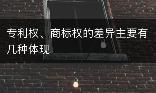 专利权、商标权的差异主要有几种体现