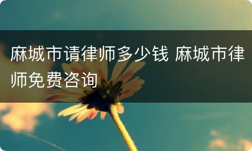 麻城市请律师多少钱 麻城市律师免费咨询