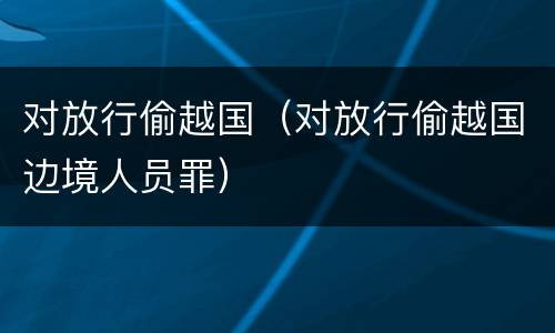 对放行偷越国（对放行偷越国边境人员罪）
