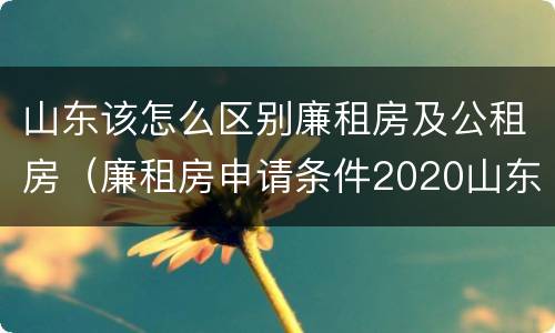 山东该怎么区别廉租房及公租房（廉租房申请条件2020山东）