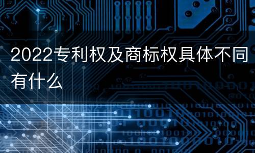2022专利权及商标权具体不同有什么
