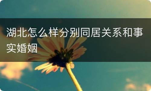 湖北怎么样分别同居关系和事实婚姻