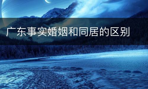 广东事实婚姻和同居的区别
