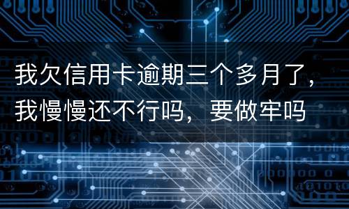 我欠信用卡逾期三个多月了，我慢慢还不行吗，要做牢吗