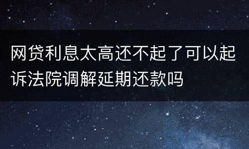 网贷利息太高还不起了可以起诉法院调解延期还款吗