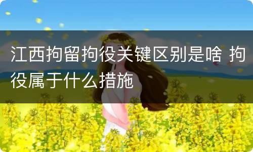 江西拘留拘役关键区别是啥 拘役属于什么措施