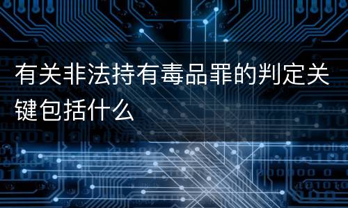 有关非法持有毒品罪的判定关键包括什么