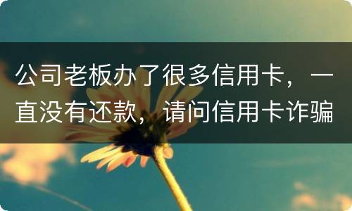 公司老板办了很多信用卡，一直没有还款，请问信用卡诈骗罪定罪量刑标准