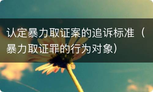 认定暴力取证案的追诉标准（暴力取证罪的行为对象）