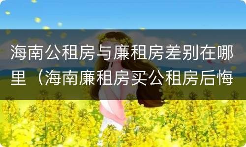 海南公租房与廉租房差别在哪里（海南廉租房买公租房后悔了）