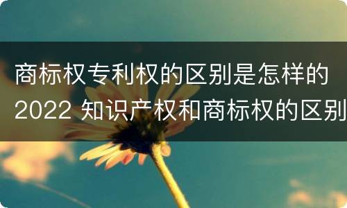 商标权专利权的区别是怎样的2022 知识产权和商标权的区别