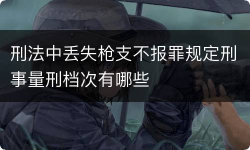 刑法中丢失枪支不报罪规定刑事量刑档次有哪些