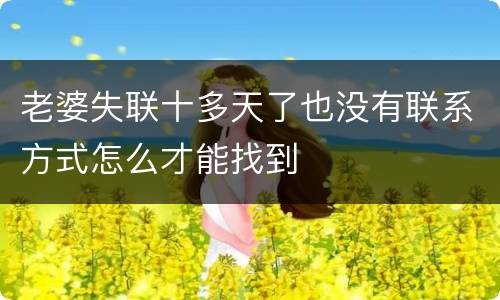 老婆失联十多天了也没有联系方式怎么才能找到