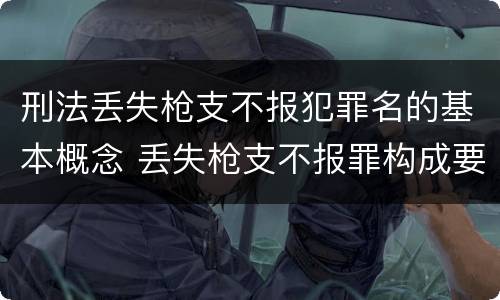 刑法丢失枪支不报犯罪名的基本概念 丢失枪支不报罪构成要件