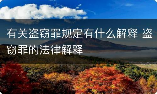 有关盗窃罪规定有什么解释 盗窃罪的法律解释