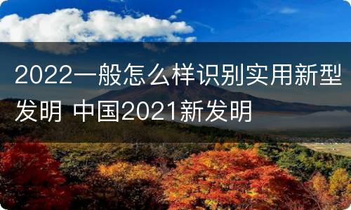 2022一般怎么样识别实用新型发明 中国2021新发明