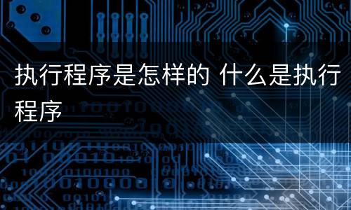 执行程序是怎样的 什么是执行程序