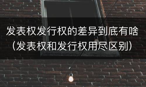 发表权发行权的差异到底有啥（发表权和发行权用尽区别）