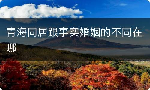 青海同居跟事实婚姻的不同在哪