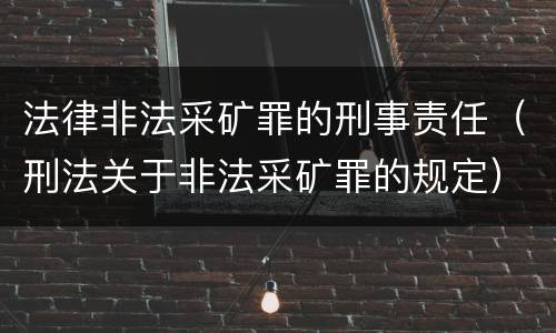 法律非法采矿罪的刑事责任（刑法关于非法采矿罪的规定）