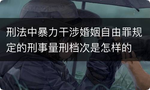刑法中暴力干涉婚姻自由罪规定的刑事量刑档次是怎样的