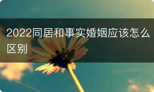 2022同居和事实婚姻应该怎么区别