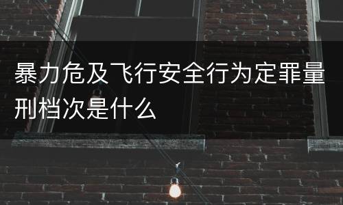 暴力危及飞行安全行为定罪量刑档次是什么