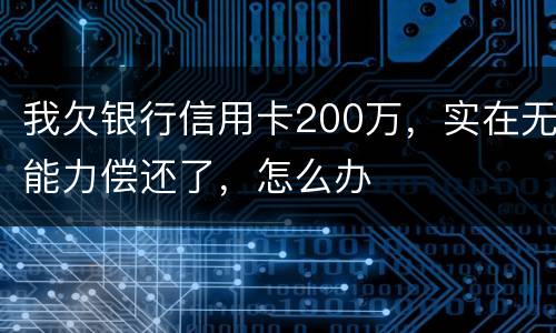我欠银行信用卡200万，实在无能力偿还了，怎么办