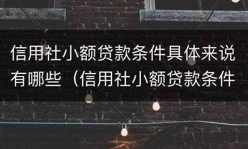 信用社小额贷款条件具体来说有哪些（信用社小额贷款条件具体来说有哪些要求）