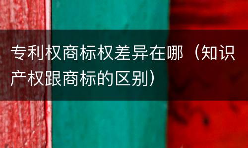 专利权商标权差异在哪（知识产权跟商标的区别）