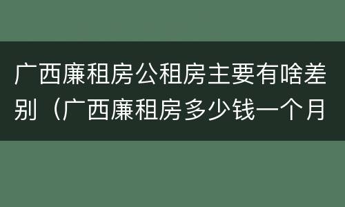 广西廉租房公租房主要有啥差别（广西廉租房多少钱一个月）