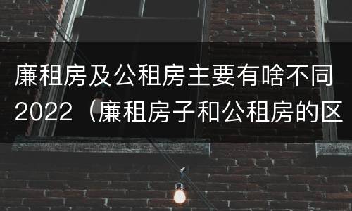 廉租房及公租房主要有啥不同2022（廉租房子和公租房的区别）