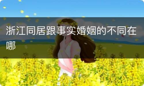 浙江同居跟事实婚姻的不同在哪