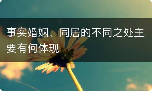 事实婚姻、同居的不同之处主要有何体现