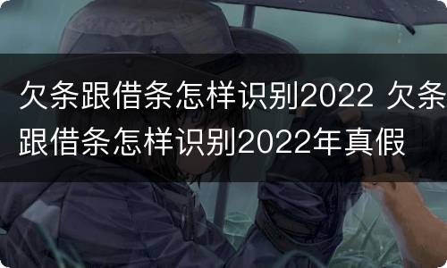 欠条跟借条怎样识别2022 欠条跟借条怎样识别2022年真假