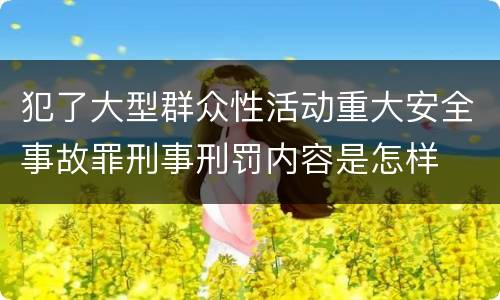 犯了大型群众性活动重大安全事故罪刑事刑罚内容是怎样